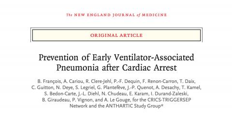Article New England