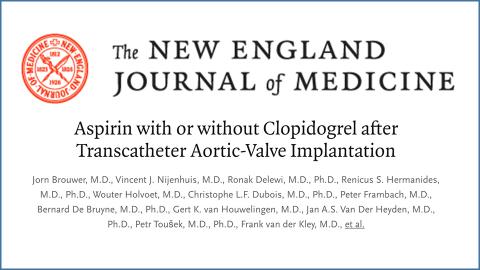 Article New England
