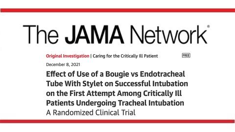 Article JAMA