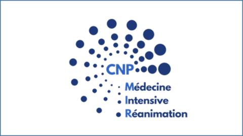 Logo-CNP-MIR Page