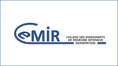 Logo CeMIR