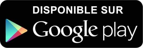 Logo Google