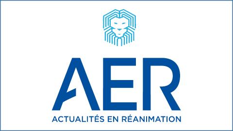 Logo AER