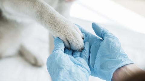 Image Webinar février 2026