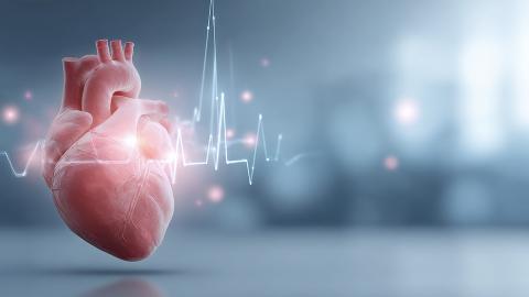 Image Webinar janvier 2026 troubles du rythme