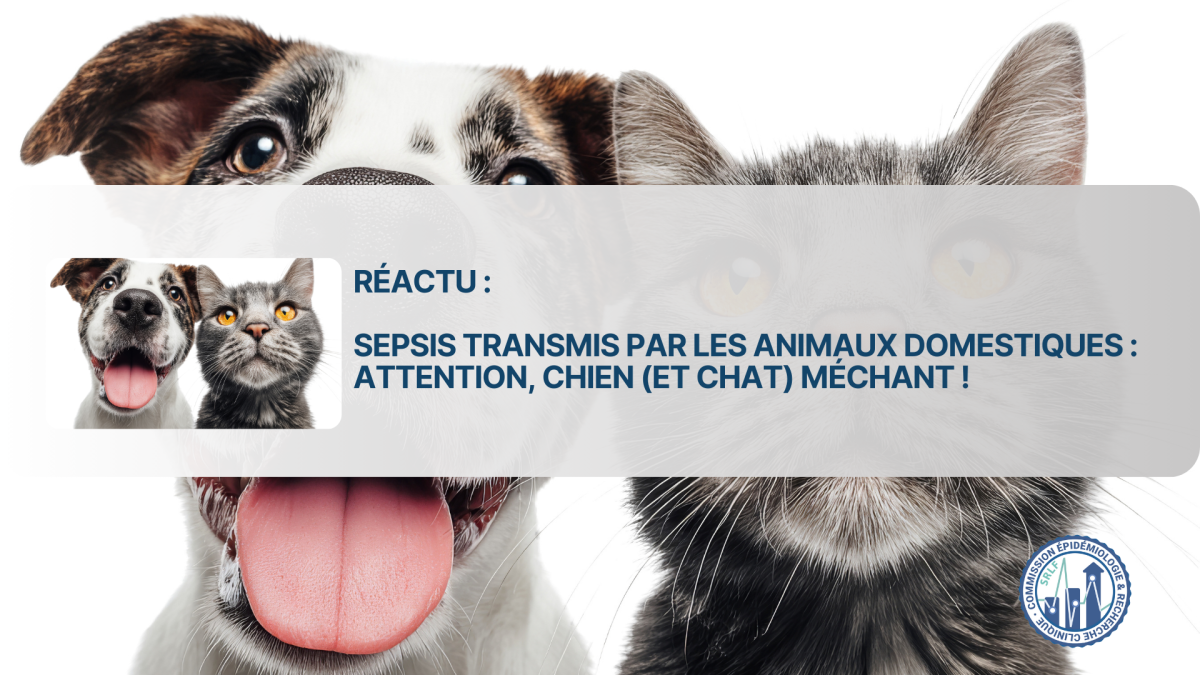 Sepsis transmis par les animaux domestiques : attention, chien (et chat ...