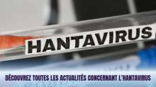 site