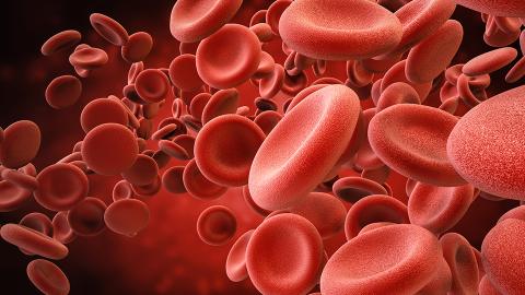 Image globule rouge