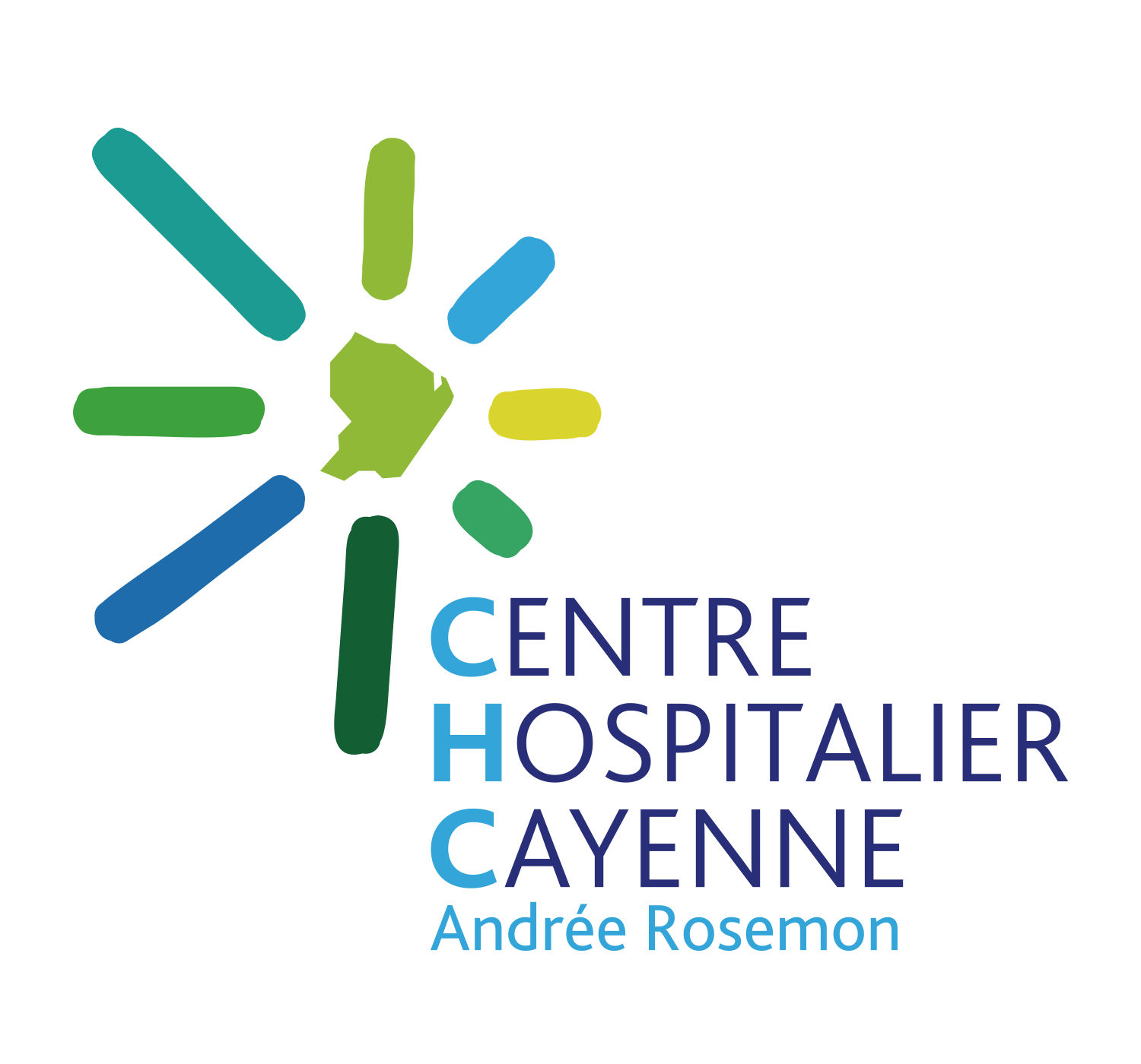 Médecin Réanimateur - SRLF